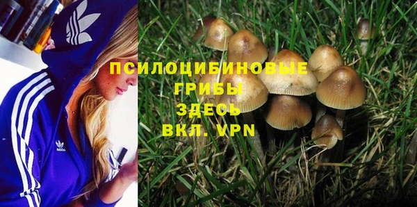 не бодяженный Аркадак