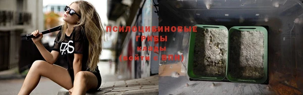 не бодяженный Аркадак