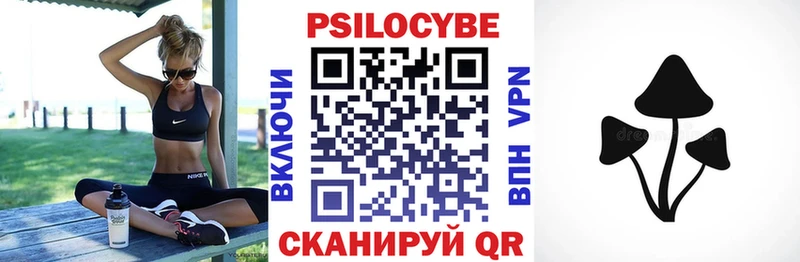 дарнет шоп  Игарка  Псилоцибиновые грибы ЛСД 